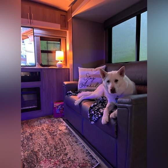 Meet your Posher, Deanna - Picture 14 of 16